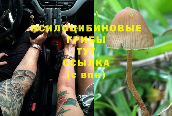 ГАЛЛЮЦИНОГЕННЫЕ ГРИБЫ Беломорск