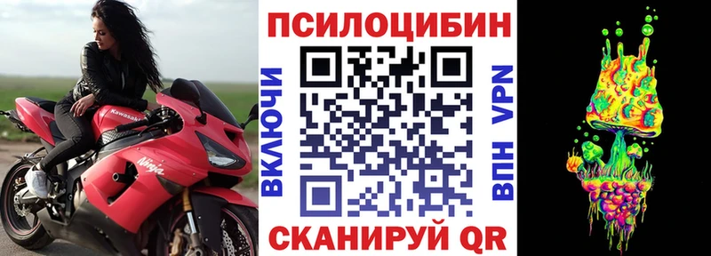 OMG ССЫЛКА  Лыткарино  Галлюциногенные грибы мицелий 